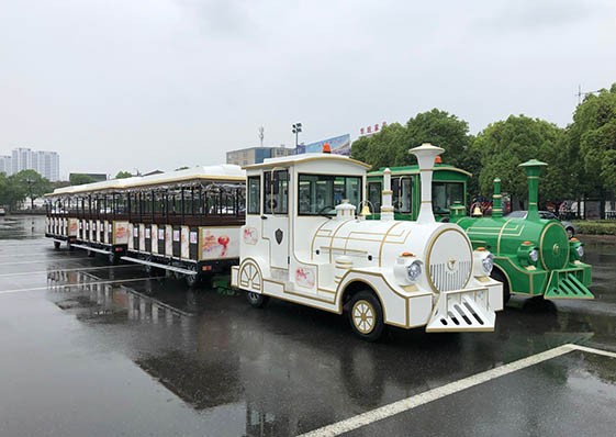 旅游观光小火车定制-样式